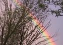 020806_rainbow_125.jpg